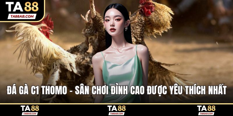 Đá gà C1 Thomo