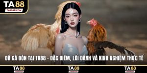 Đá gà đòn
