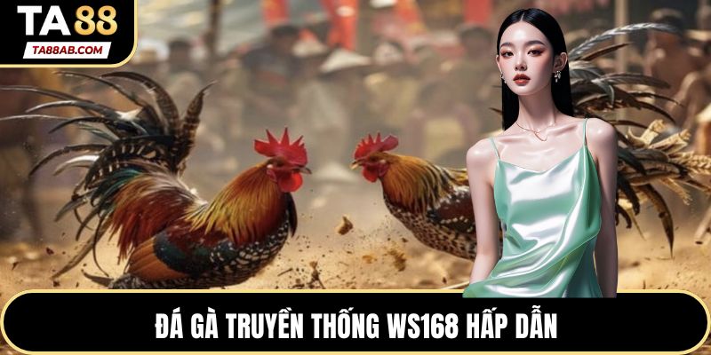 Đá gà truyền thống WS168 hấp dẫn